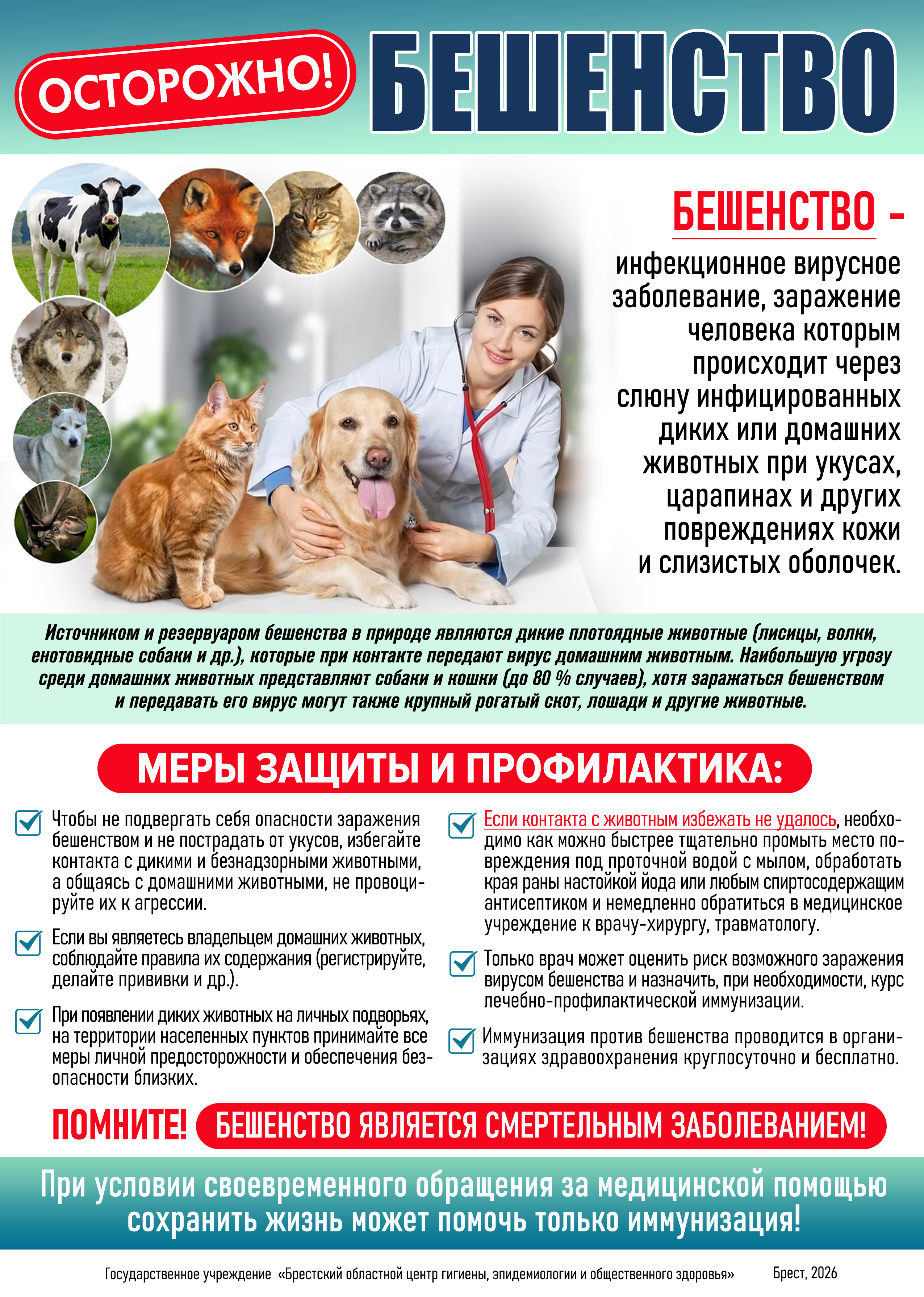 Осторожно! Бешенство